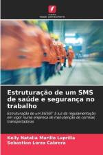 Estruturação de um SMS de saúde e segurança no trabalho af Kelly Natalia Murillo Laprilla