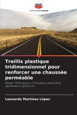 Treillis plastique tridimensionnel pour renforcer une chaussée perméable af Leonardo Martínez López