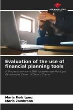 Evaluation of the use of financial planning tools af María Rodríguez