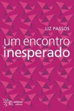 Um encontro inesperado af Liz Passos