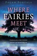 Pagan Portals - Where Fairies Meet af Daniela Simina