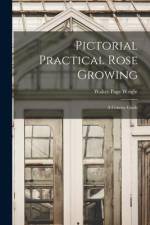 Pictorial Practical Rose Growing: A Concise Guide af Walter Page Wright