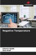 Negative Temperature af Zakaria Qaddi