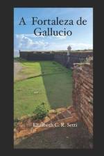 A Fortaleza de Gallucio af Elizabeth C R Setti