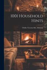 1001 Household Hints af Ottilie Victoria (Wolff) [Holstein