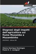 Diagnosi degli impatti dell'agricoltura sul fiume Muzambo a Muzambinho af Otávio Henrique Domingos