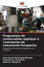 Programme de conservation appliqué à l'entreprise de chaussures Purepecha af Juan Carlos Barragán Barajas