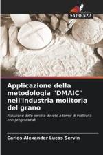 Applicazione della metodologia 