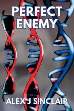 Perfect Enemy af Alex J Sinclair