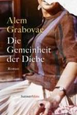 Die Gemeinheit der Diebe af Alem Grabovac