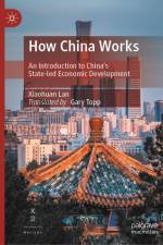 How China Works af Xiaohuan Lan