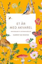 Et år med akvarel af Harriet de Winton