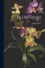 Le orchidee af Angiolo Pucci