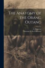 The Anatomy of the Orang Outang af A Primrose