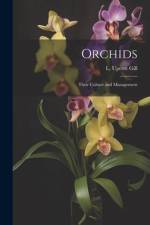 Orchids