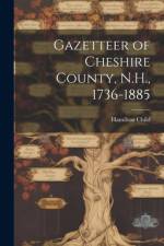 Gazetteer of Cheshire County, N.H., 1736-1885 af Hamilton Child