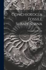 Conchiologia Fossile Subapennina af Giambattista Brocchi