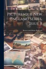 Picturesque New England Series, Issue 8