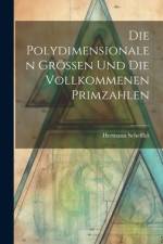 Die Polydimensionalen Grössen und die Vollkommenen Primzahlen af Hermann Scheffler