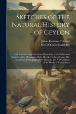 Sketches of the Natural History of Ceylon af Metcalf Collection Ncrs