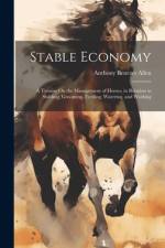 Stable Economy af Anthony Benezet Allen
