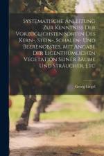 Systematische Anleitung Zur Kenntniss Der Vorzüglichsten Sorten Des Kern-, Stein-, Schalen- Und Beerenobstes, Mit Angabe Der Eigenthümlichen Vegetation Seiner Bäume Und Sträucher, Etc af Georg Liegel