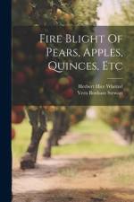 Fire Blight Of Pears, Apples, Quinces, Etc af Herbert Hice Whetzel