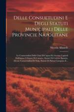 Delle Consuetudini E Degli Statuti Municipali Delle Provincie Napolitane af Niccola Alianelli