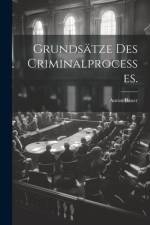 Grundsätze des Criminalprocesses. af Anton Bauer