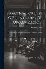 Práctica Forense O Prontuario De Organización af Demetrio Porras