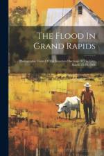 The Flood In Grand Rapids