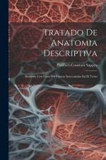 Tratado De Anatomia Descriptiva af Philibert-Constant Sappey