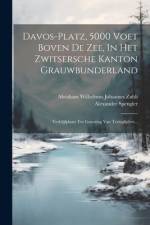 Davos-platz, 5000 Voet Boven De Zee, In Het Zwitsersche Kanton Grauwbunderland af Alexander Spengler