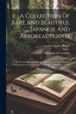 A Collection Of Rare And Beautiful Japanese And Arboreal Plants