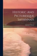 Historic And Picturesque Savannah af Adelaide Wilson