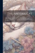 The Angora Cat