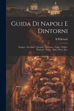 Guida di Napoli e dintorni af B Pellerano