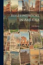 Reiseeindrücke in Amerika af Felix Speiser