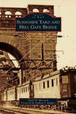 Sunnyside Yard and Hell Gate Bridge af David D Morrison