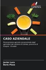 CASO AZIENDALE af Javier Lara
