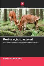 Perfuração pastoral af Denis Djongyang