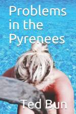 Problems in the Pyrenees af Ted Bun