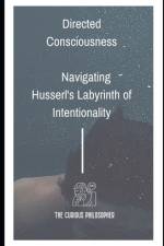 Directed Consciousness af The Curious Philosopher