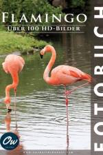 Flamingo af A Arelt