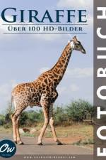 Giraffe af A Arelt
