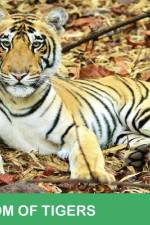 Kingdom of Tigers - Tadoba af J. Santhosh