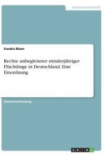 Rechte unbegleiteter minderjähriger Flüchtlinge in Deutschland. Eine Einordnung af Sandra Blum