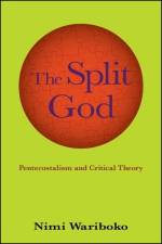 The Split God af Nimi Wariboko