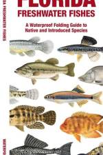 Florida Freshwater Fishes af Matthew Morris