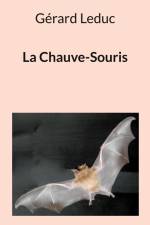La Chauve-Souris af Gérard Leduc